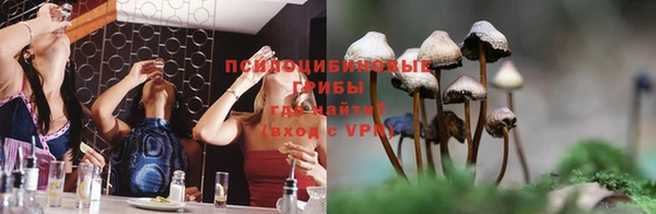 ALPHA-PVP Покров