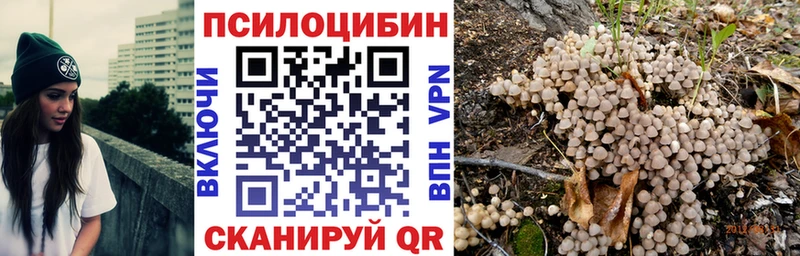 Галлюциногенные грибы MAGIC MUSHROOMS  цена наркотик  Бокситогорск 